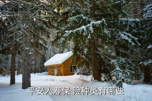 平安保險有哪些險種價格,中國平安保險有哪些險種...